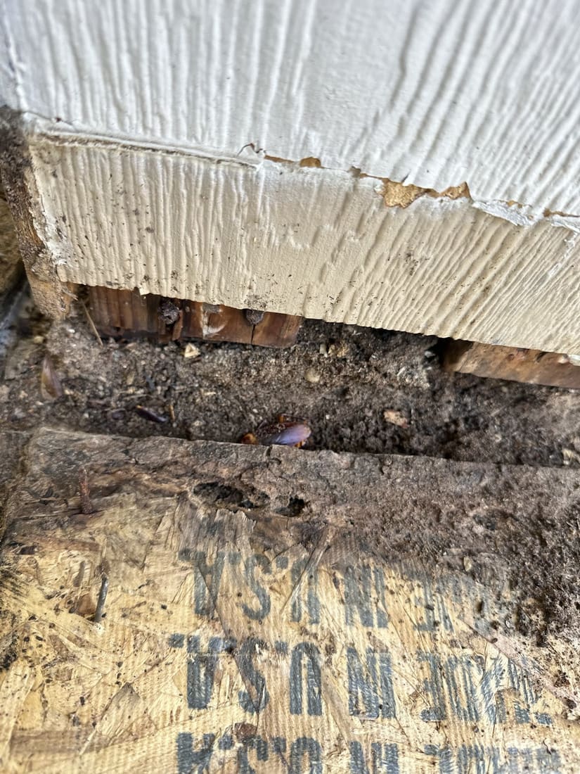 Exterior siding repair detail